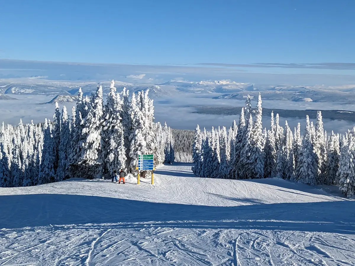 SilverStar bluebird day